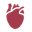 bullet